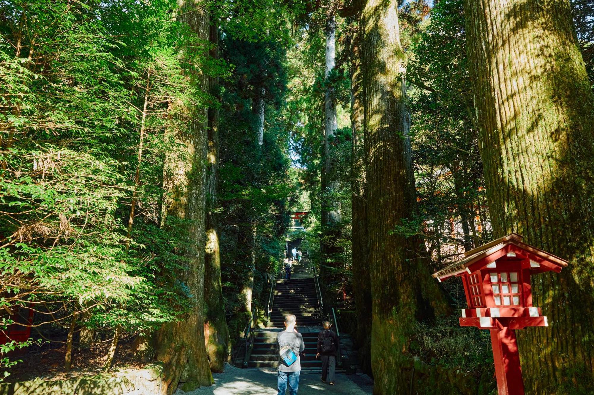 Villa Hakone Kabuto 古民家旅館 150平米 バス停迄一分 準天然温泉 最大12名 外观 照片